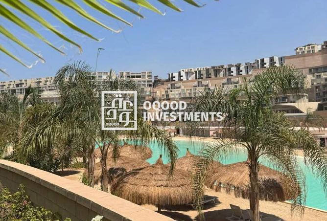 66166619 - صورة العقار 3