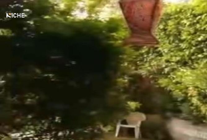 8513318 - الصورة الرئيسية للعقار