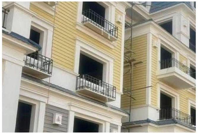 56747163 - Property Image 2