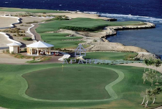 55993863 - Property Image 3