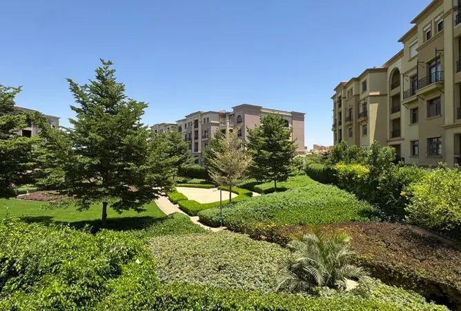 114352673 - صورة العقار 3