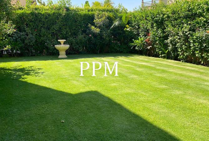 64382961 - Property Image 3