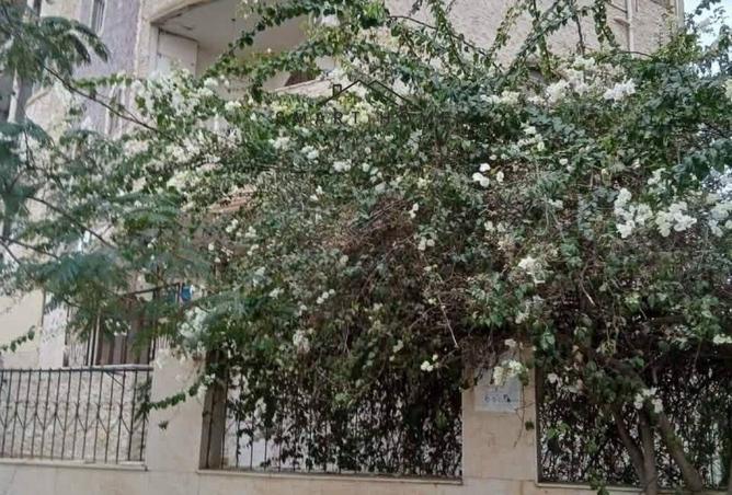 104049774 - صورة العقار 3