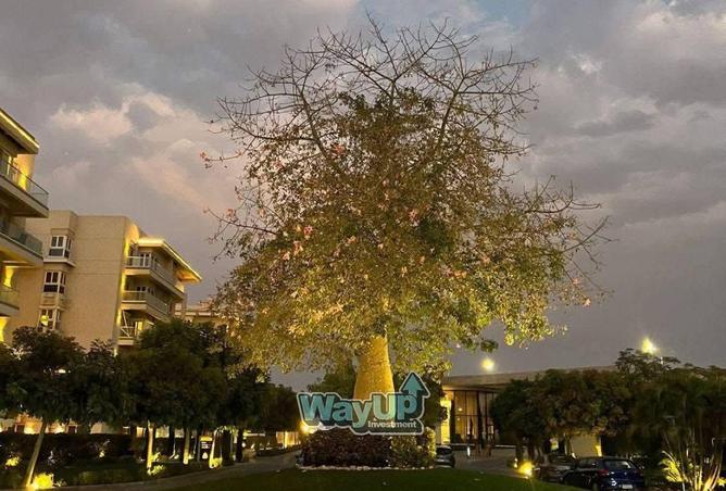 8578779 - Property Image 3