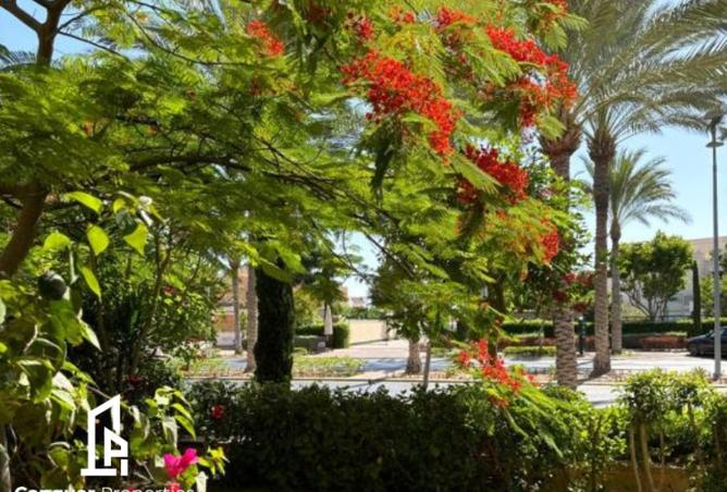 96865471 - صورة العقار 2