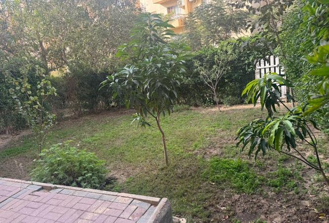 53478030 - الصورة الرئيسية للعقار