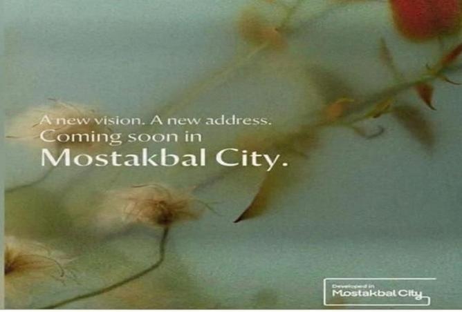 8545923 - Property Image 3