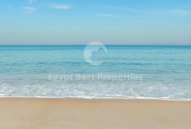104887472 - صورة العقار 3