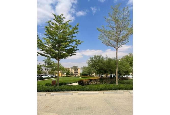 59497215 - صورة العقار 2