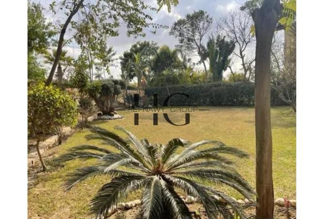 69837767 - صورة العقار 3