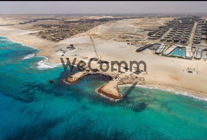 73503435 - Property Image 2