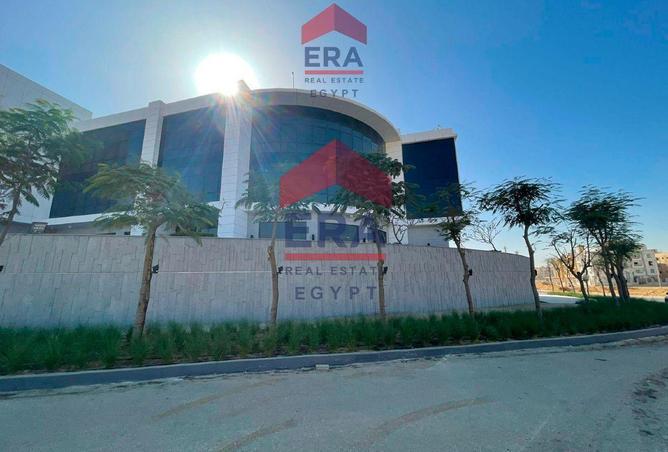 55135378 - Property Image 2