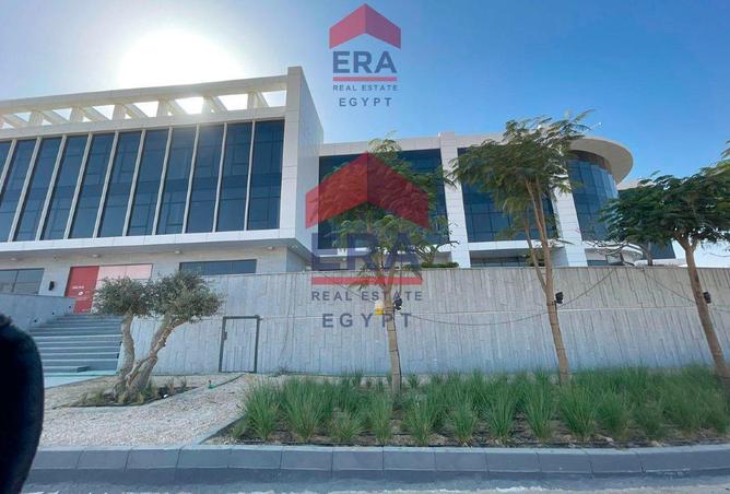 55135378 - Property Image 3