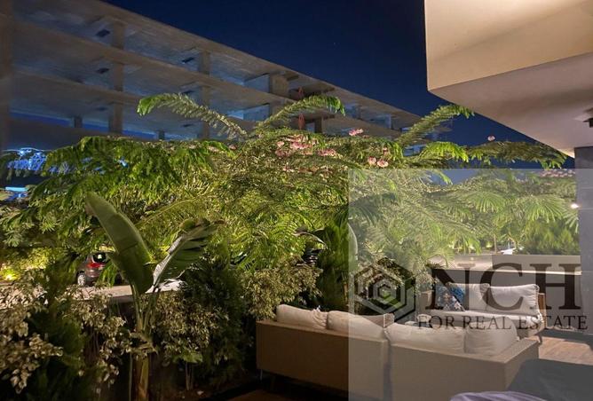 65407205 - الصورة الرئيسية للعقار