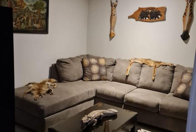 55510442 - Property Image 3