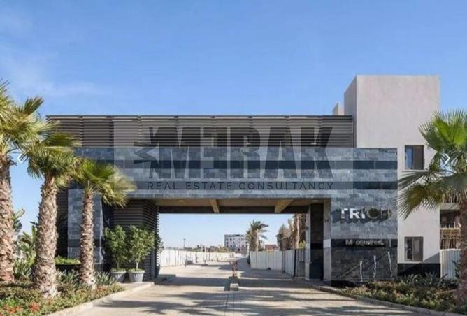 58735888 - صورة العقار 3