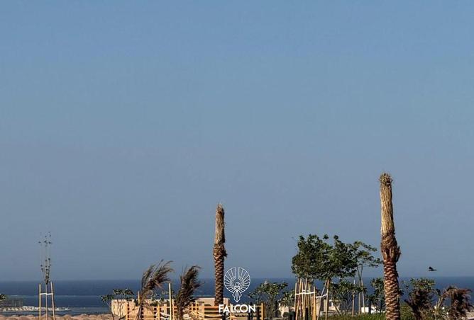 101780254 - صورة العقار 3