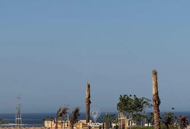 101780254 - Property Image 3