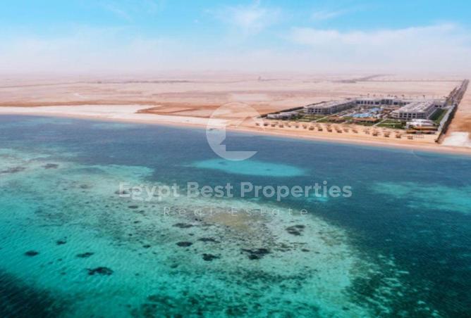 100929772 - صورة العقار 3
