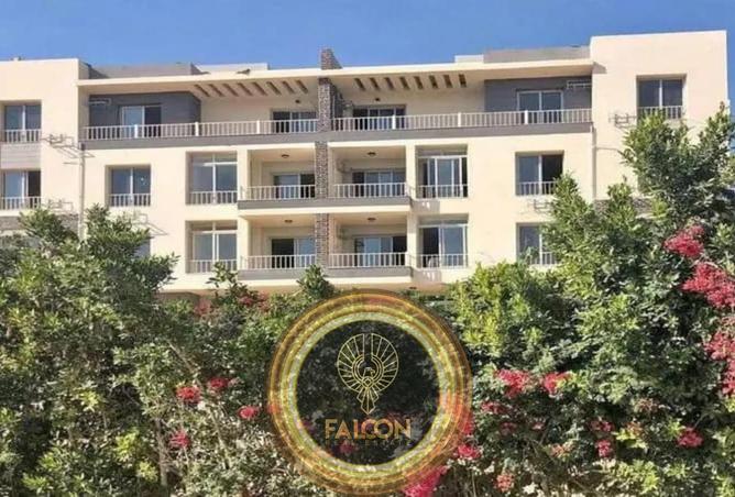 53730489 - Property Image 2