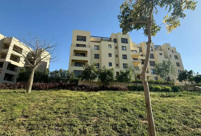 115710246 - صورة العقار 3