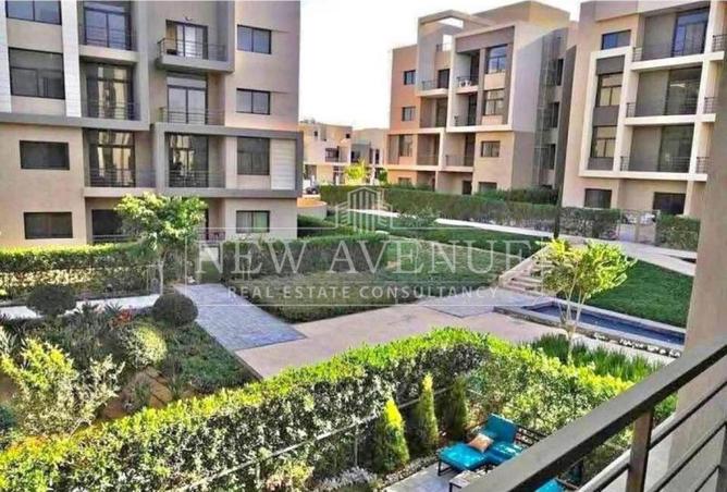99113776 - Property Image 3