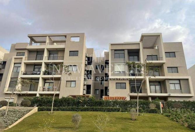 99113776 - Property Image 2