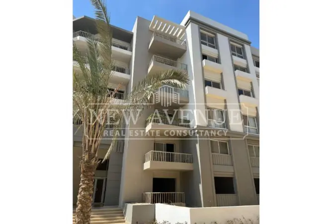 119585372 - صورة العقار 3