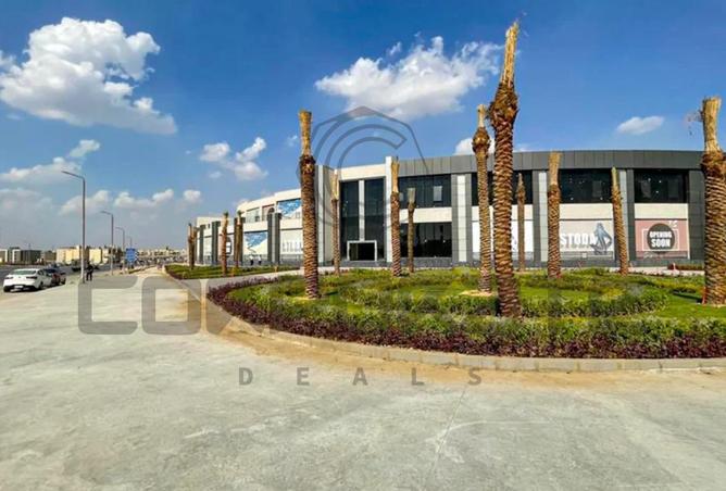 53725527 - صورة العقار 3