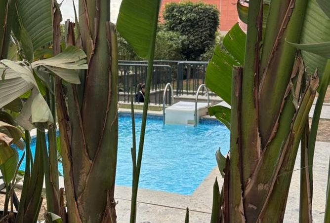 58250543 - Property Image 3