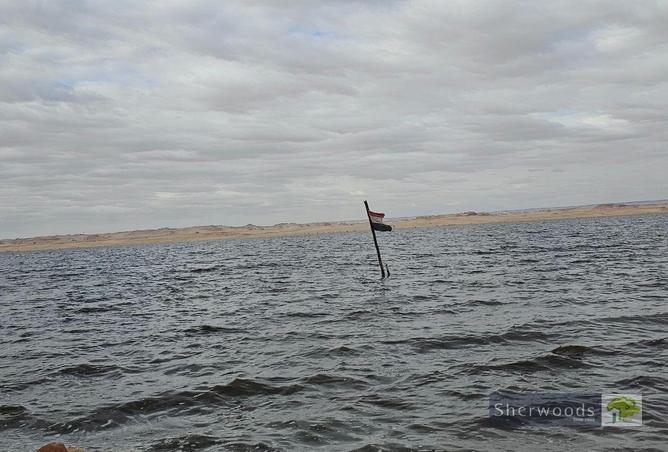 81842180 - الصورة الرئيسية للعقار