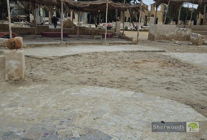81842180 - صورة العقار 2