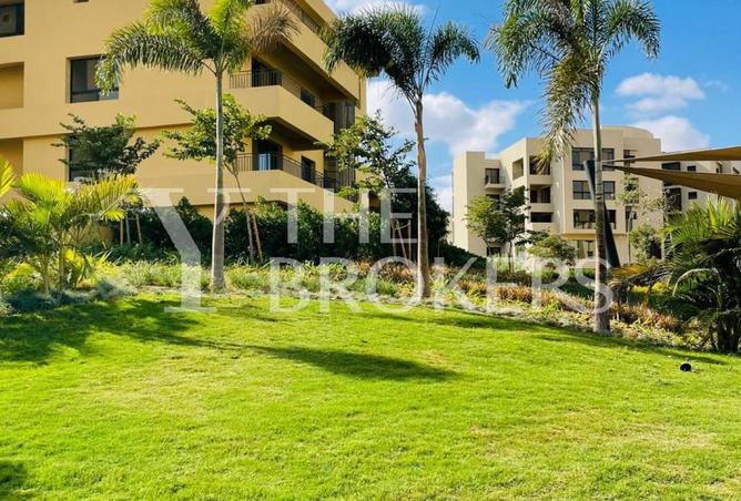 53725209 - Property Image 2