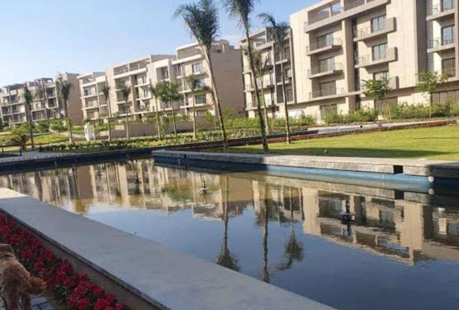 56505126 - Property Image 3