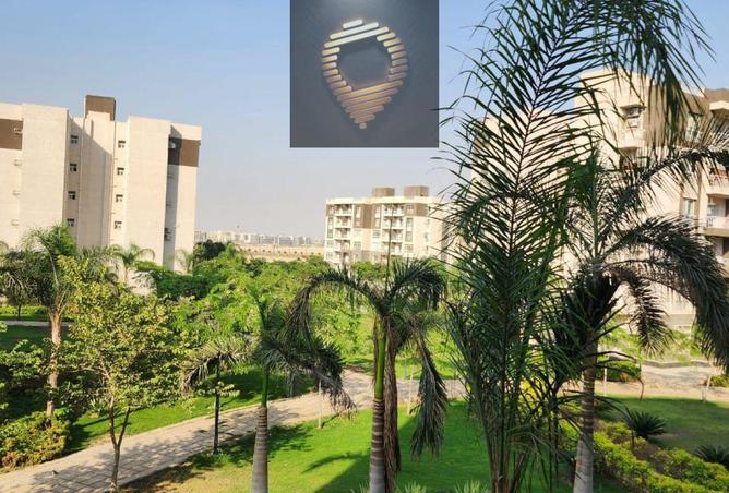 100919537 - صورة العقار 2