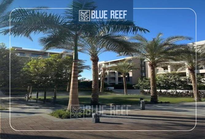 66682821 - صورة العقار 3