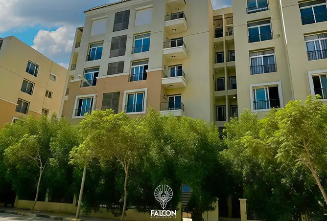 114349789 - Property Image 2