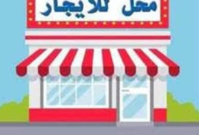 8627238 - صورة العقار 2