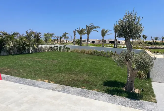 119335040 - صورة العقار 3
