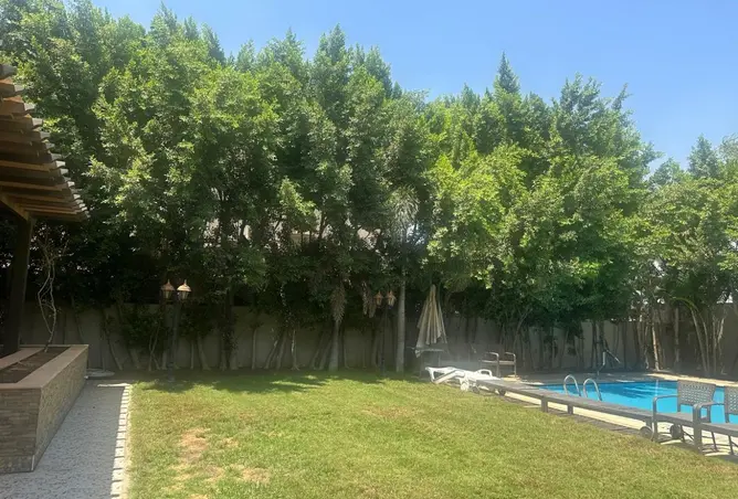 112978621 - Property Image 3