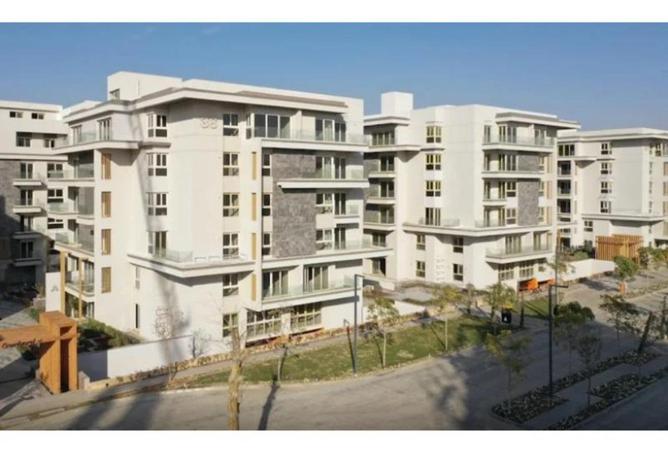 64381950 - Property Image 2