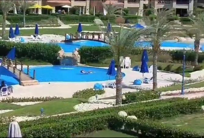 74586862 - صورة العقار 3