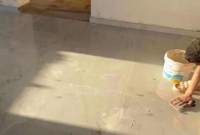 61443906 - Property Image 2