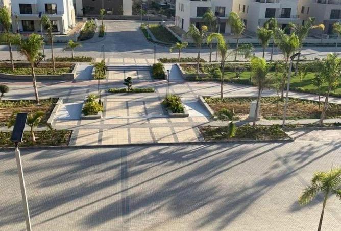 54242056 - Property Image 3