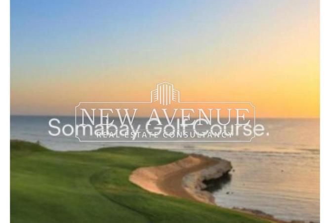 70367454 - صورة العقار 3