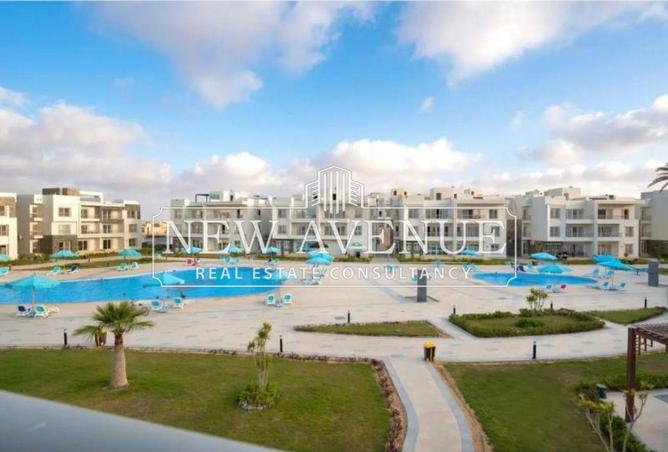 8625249 - Property Image 3