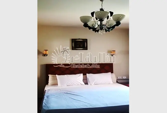 113532338 - Property Image 2