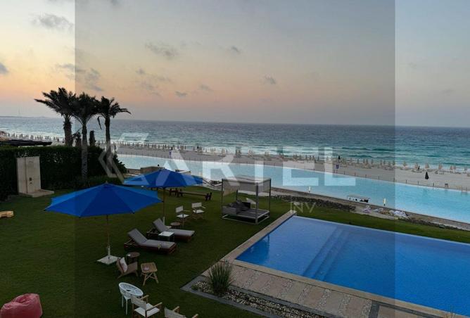 97721831 - Property Image 3