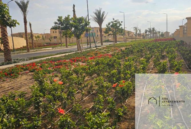 74581672 - صورة العقار 3