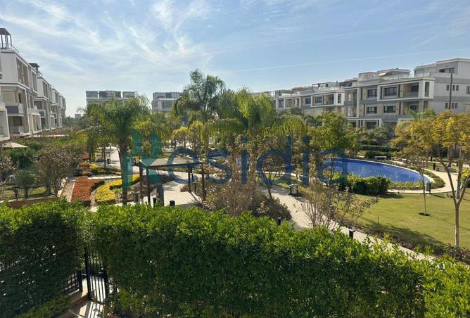 55996281 - Property Image 3